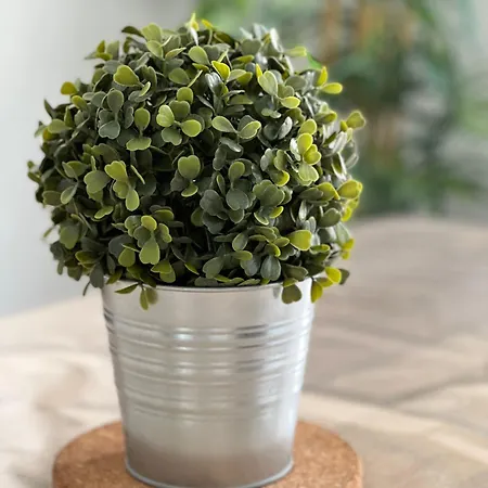 Rm-1 - Joli 2 Pieces Equipe Au 1er Etage Pour 1-3 Pers Apartamento