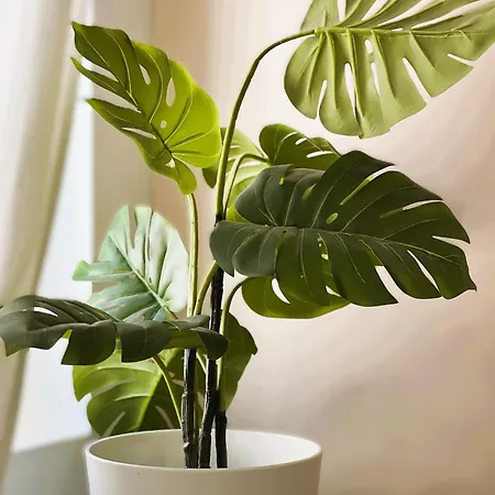 Apartament Rm-1 - Joli 2 Pieces Equipe Au 1er Etage Pour 1-3 Pers Miluza